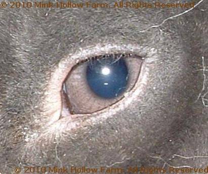 blue-2009-02-22.jpg blue-2009-02-22.jpg