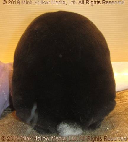 lilot2019-06-27-17-06-41_wm.jpg lilot2019-06-27-17-06-41_wm.jpg