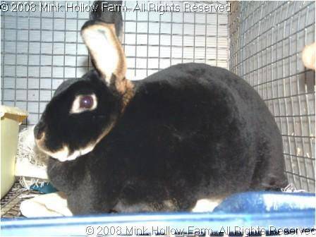 lydia-04-01-14-1.jpg lydia-04-01-14-1.jpg