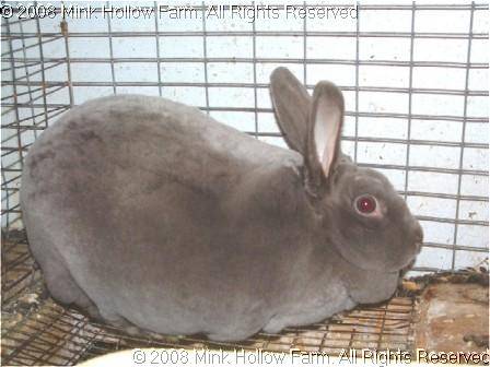 lissi-04-01-14-1.jpg lissi-04-01-14-1.jpg