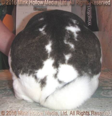 2016-08-03_18-48-03_wm.jpg 2016-08-03_18-48-03_wm.jpg