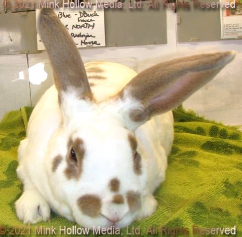 edd1-2021-09-09-18-31-00_wm.jpg edd1-2021-09-09-18-31-00_wm.jpg