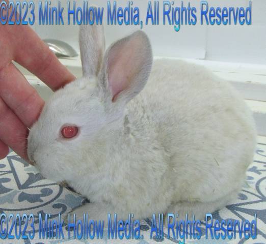 gbc-2023-02-28-19-33-10_wm.jpg gbc-2023-02-28-19-33-10_wm.jpg