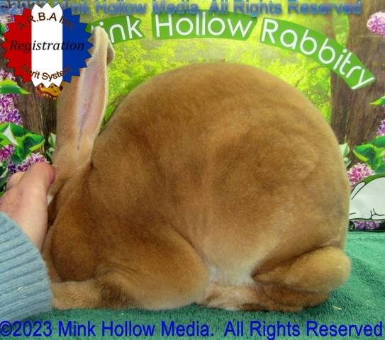 0-main.jpg 0-main.jpg