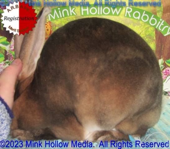 0-main.jpg 0-main.jpg