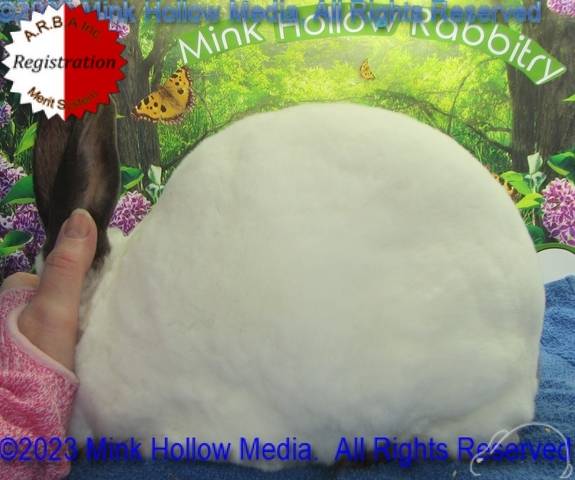 0-main.jpg 0-main.jpg