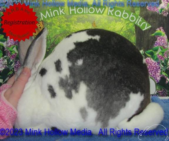 0-main.jpg 0-main.jpg