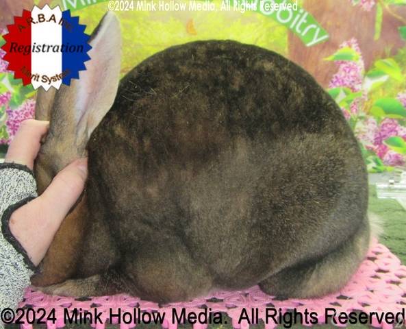 0-main.jpg 0-main.jpg