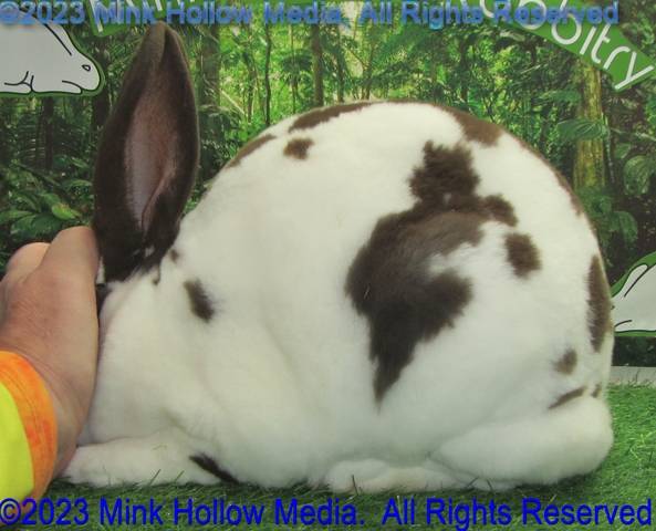 0-main.jpg 0-main.jpg