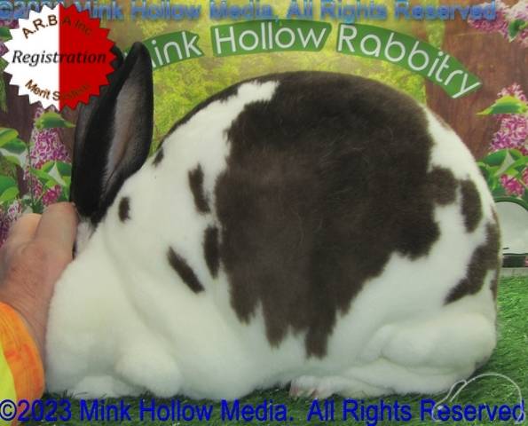 0-main.jpg 0-main.jpg