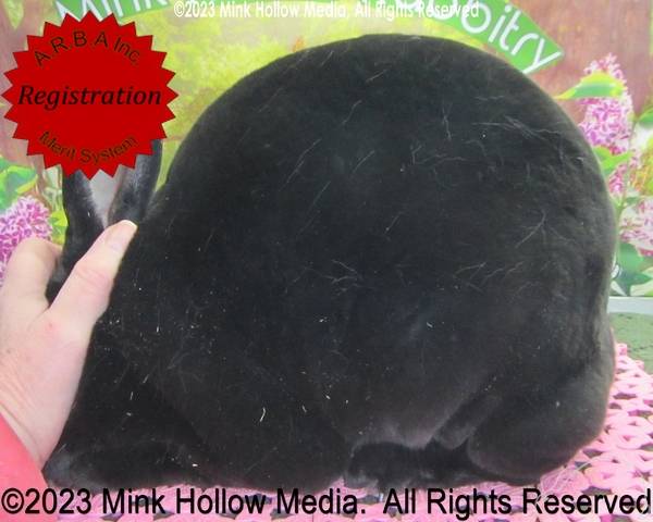 0-main.jpg 0-main.jpg