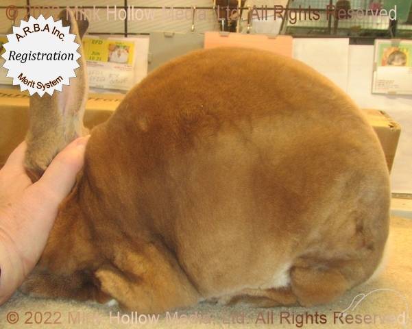 0-main.jpg 0-main.jpg