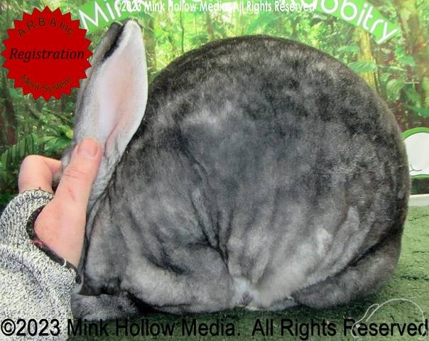 0-main.jpg 0-main.jpg