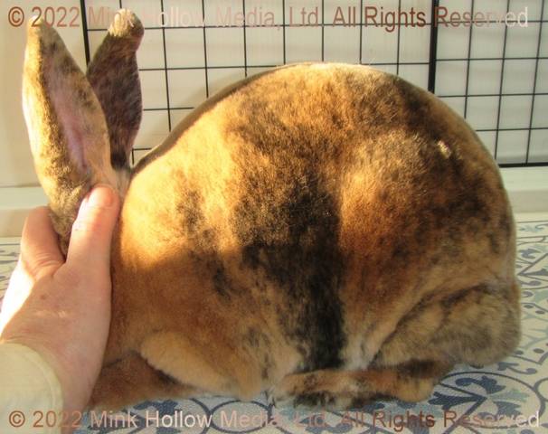 0-main.jpg 0-main.jpg