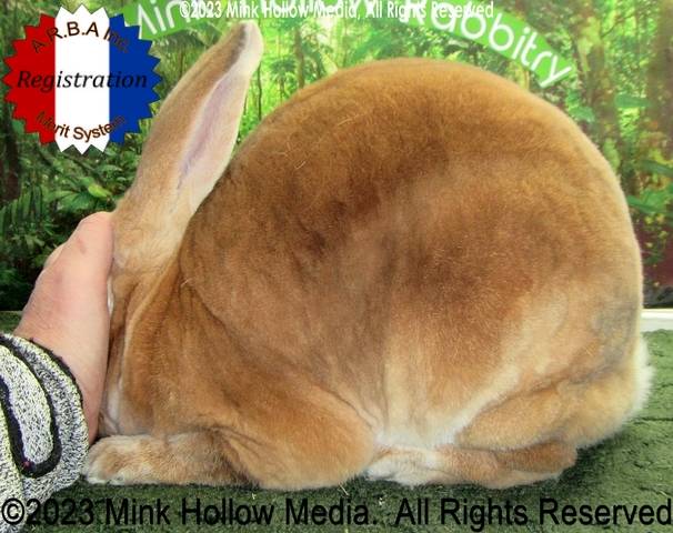 0-main.jpg 0-main.jpg