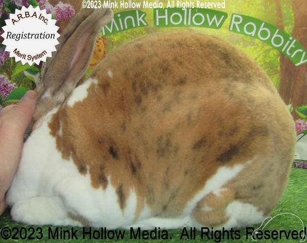 0-main.jpg 0-main.jpg