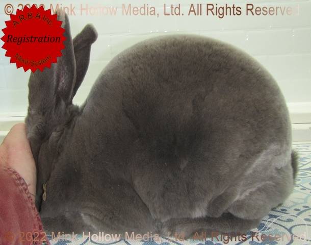 0-main.jpg 0-main.jpg