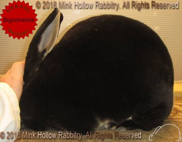 0-main.jpg 0-main.jpg