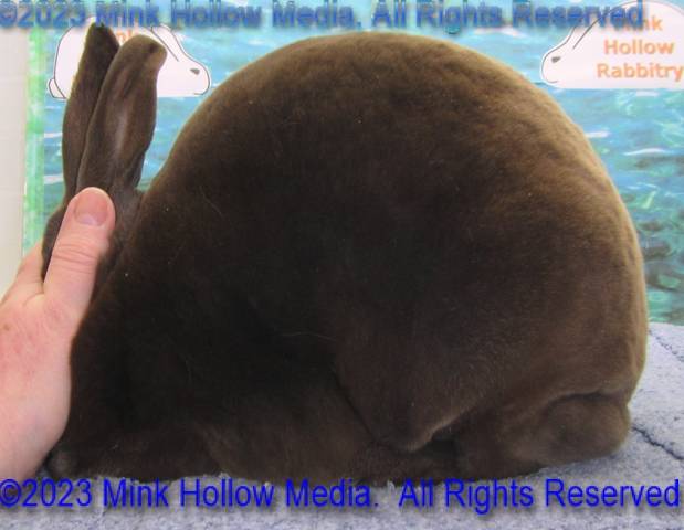 0-main.jpg 0-main.jpg