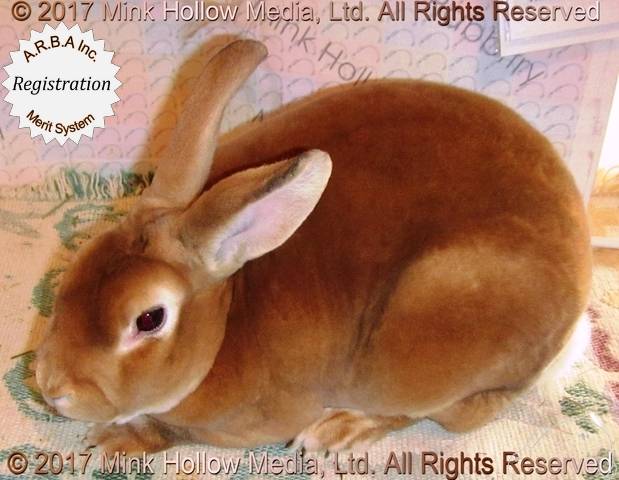 0-main.jpg 0-main.jpg