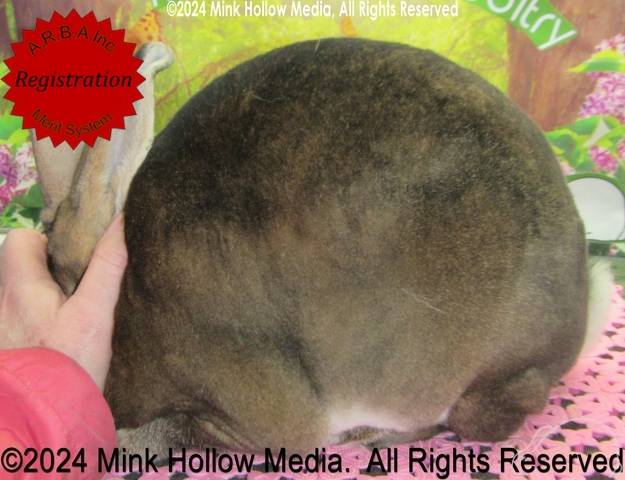 0-main.jpg 0-main.jpg