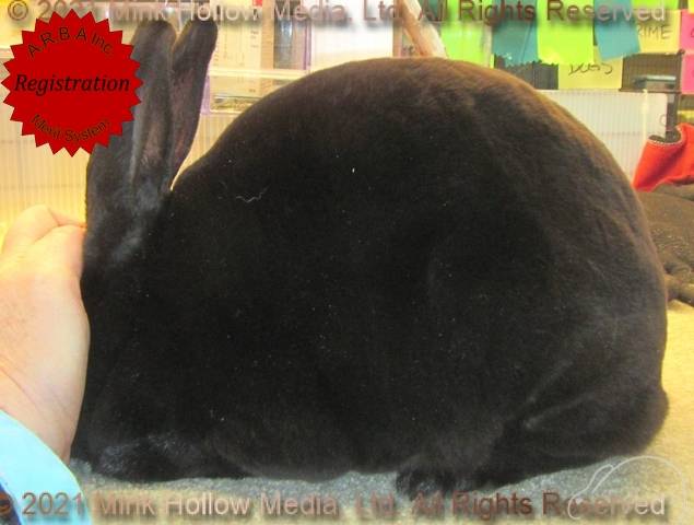 0-main.jpg 0-main.jpg