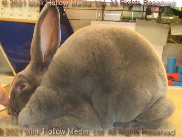 0-main-0.jpg 0-main-0.jpg