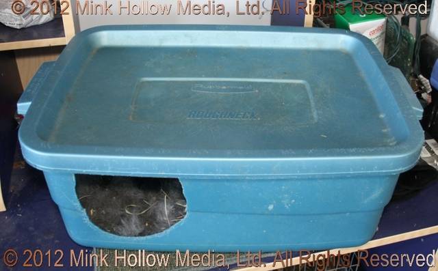 Tote Bin Nestbox: I use Roughneck 38L tote bins. The plastic is soft enough to
allow me to cut a hole for a door without the bin cracking. These last a very... Tote Bin Nestbox: I use Roughneck 38L tote bins. The plastic is soft enough to
allow me to cut a hole for a door without the bin cracking. These last a very...