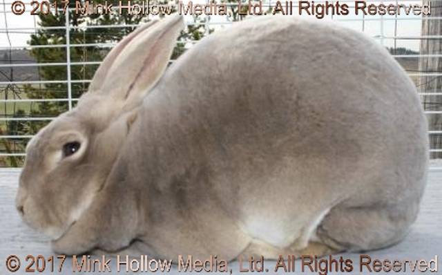 2010-10-22_14-30-50b_wm.jpg 2010-10-22_14-30-50b_wm.jpg