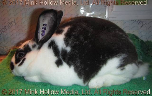 adb3-2017-06-01_17-07-32.jpg adb3-2017-06-01_17-07-32.jpg