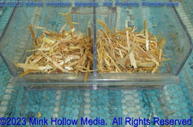 2023-07-26-13-22-13_wm.jpg 2023-07-26-13-22-13_wm.jpg