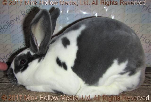 0-main.jpg 0-main.jpg