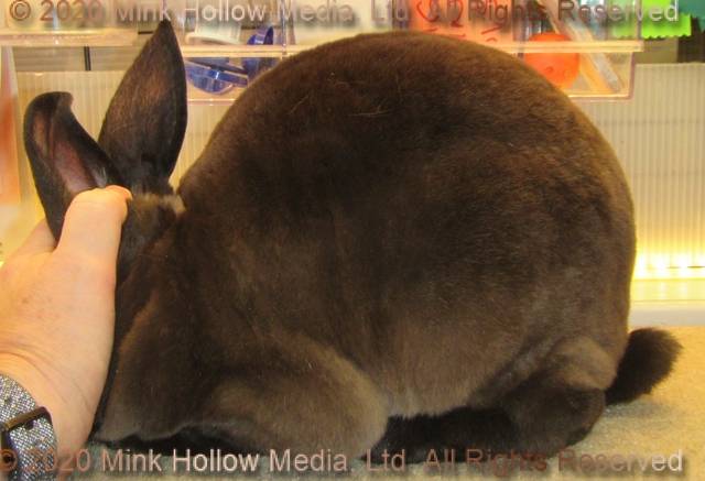 0-main.jpg 0-main.jpg