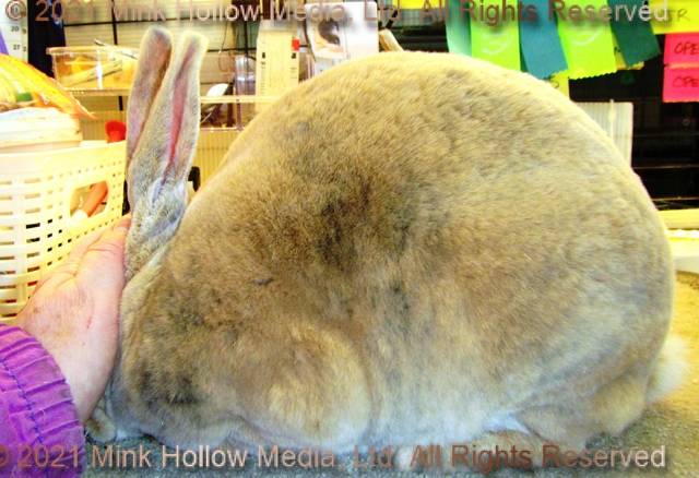 0-main.jpg 0-main.jpg