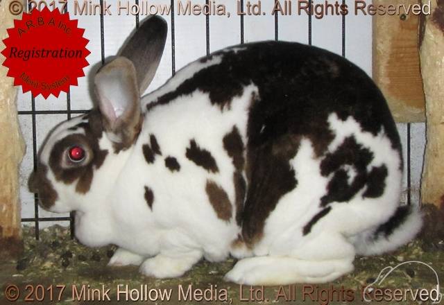 0-main.jpg 0-main.jpg