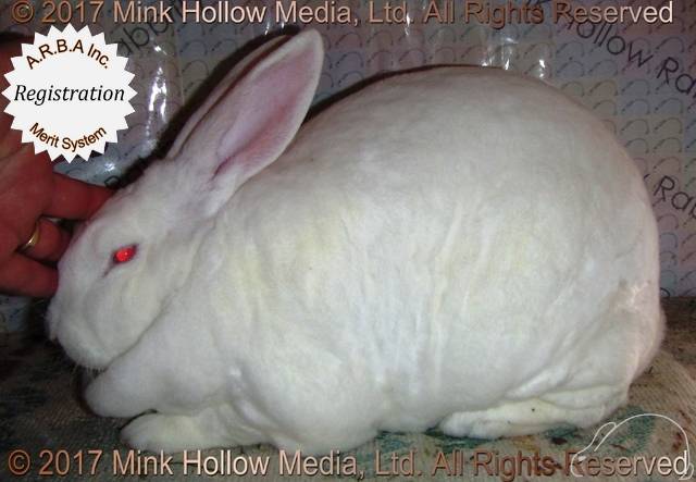 0-main.jpg 0-main.jpg