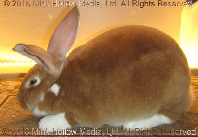 0-main.jpg 0-main.jpg