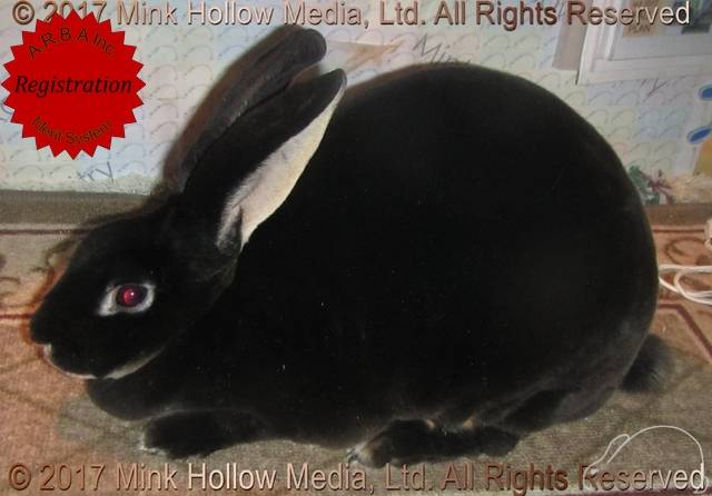 0-main.jpg 0-main.jpg