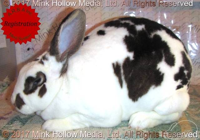 0-main.jpg 0-main.jpg