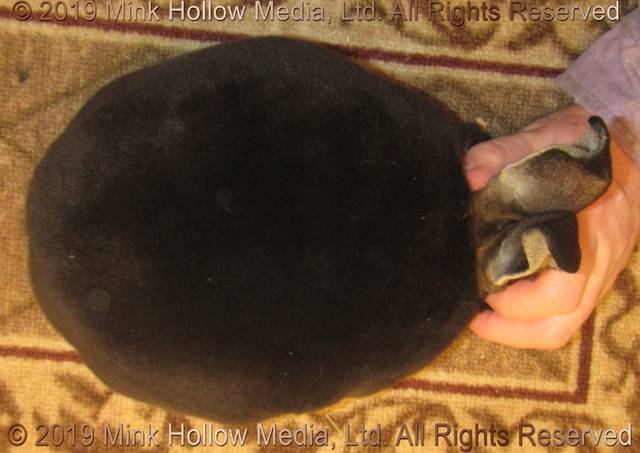 lilot2019-06-27-17-06-15_wm.jpg lilot2019-06-27-17-06-15_wm.jpg