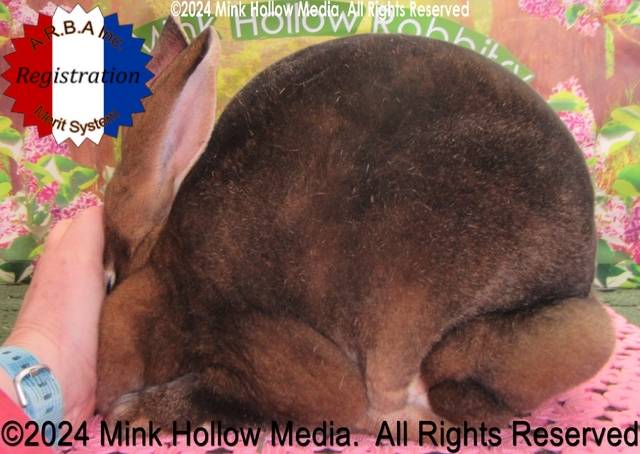 0-main.jpg 0-main.jpg