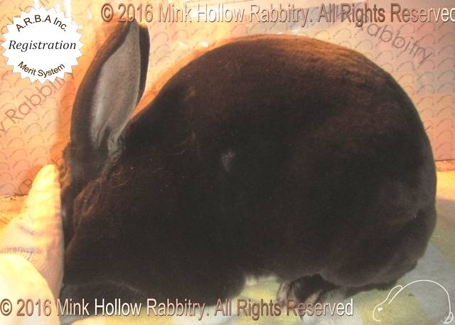 0-main.jpg 0-main.jpg