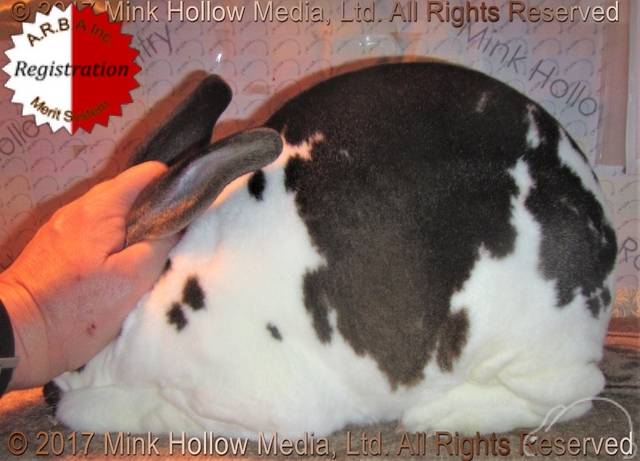 0-main.jpg 0-main.jpg