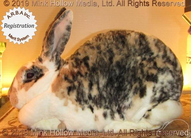 0-main.jpg 0-main.jpg