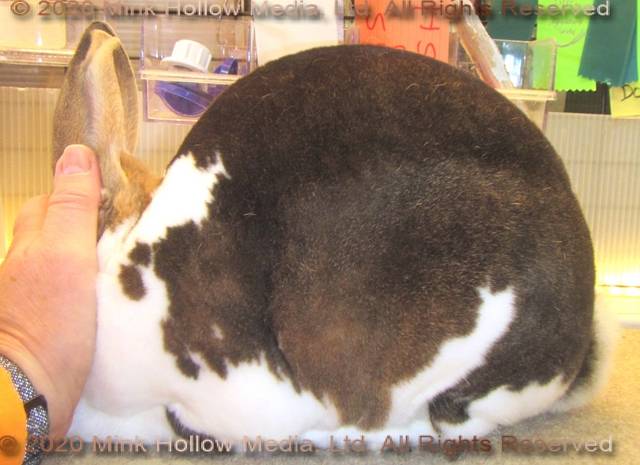 0-main.jpg 0-main.jpg