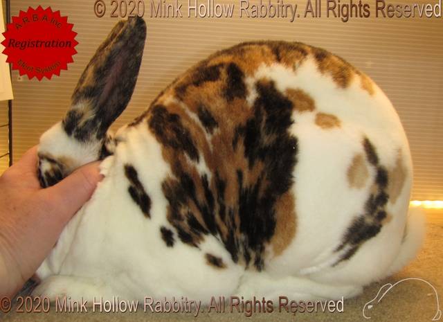 0-main.jpg 0-main.jpg