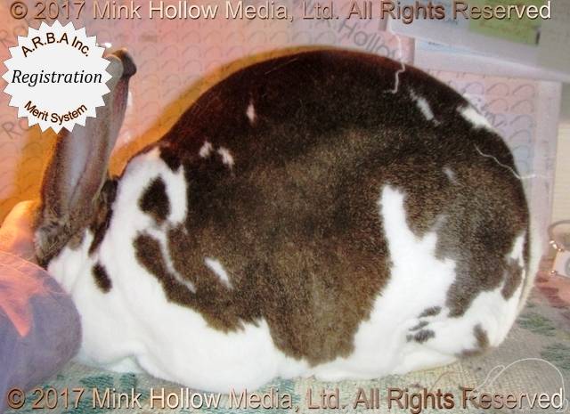 0-main.jpg 0-main.jpg