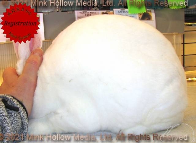 0-main.jpg 0-main.jpg