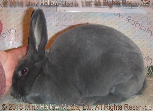 0-main.jpg 0-main.jpg