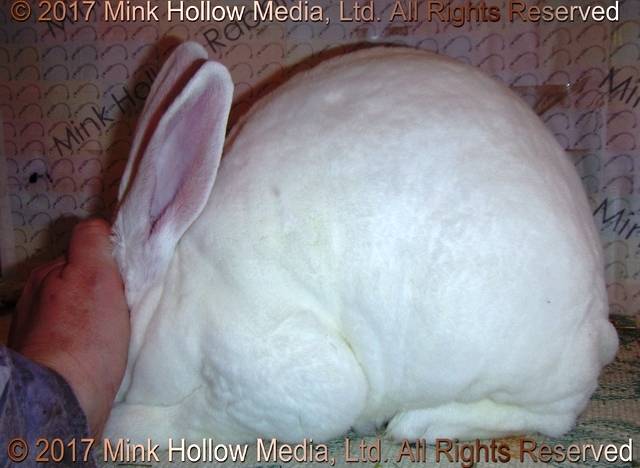 1-main.jpg 1-main.jpg